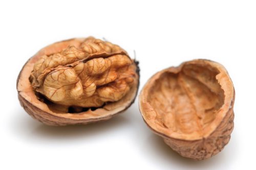 walnuts